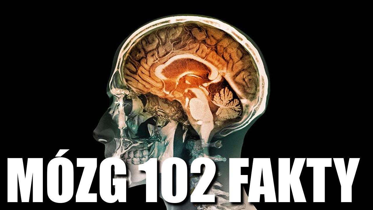M&Oacute;ZG - 102 FAKTY