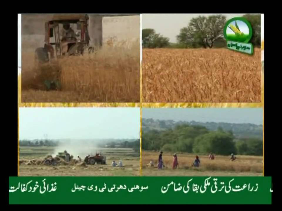 Sohni Dharti - First Agricultural TV Channel of Pakistan