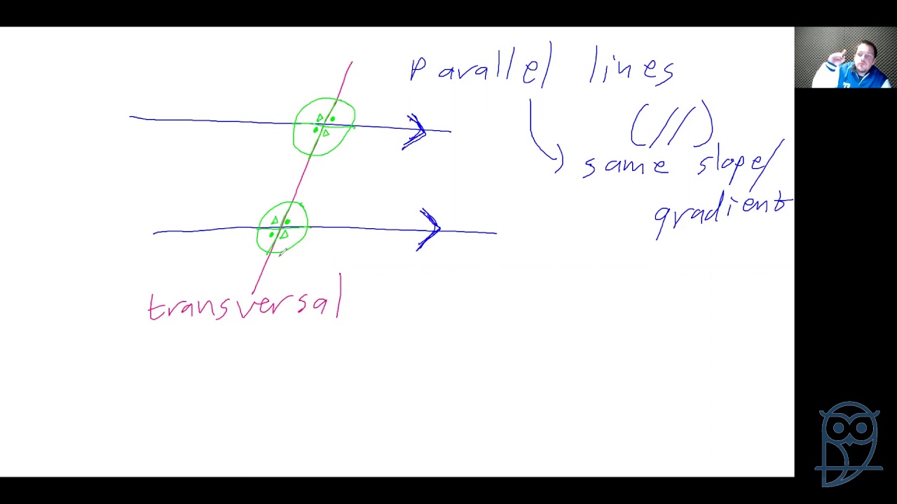 Live Lesson: Checkpoint Mathematics -  Angles, Parallel Lines and Shapes