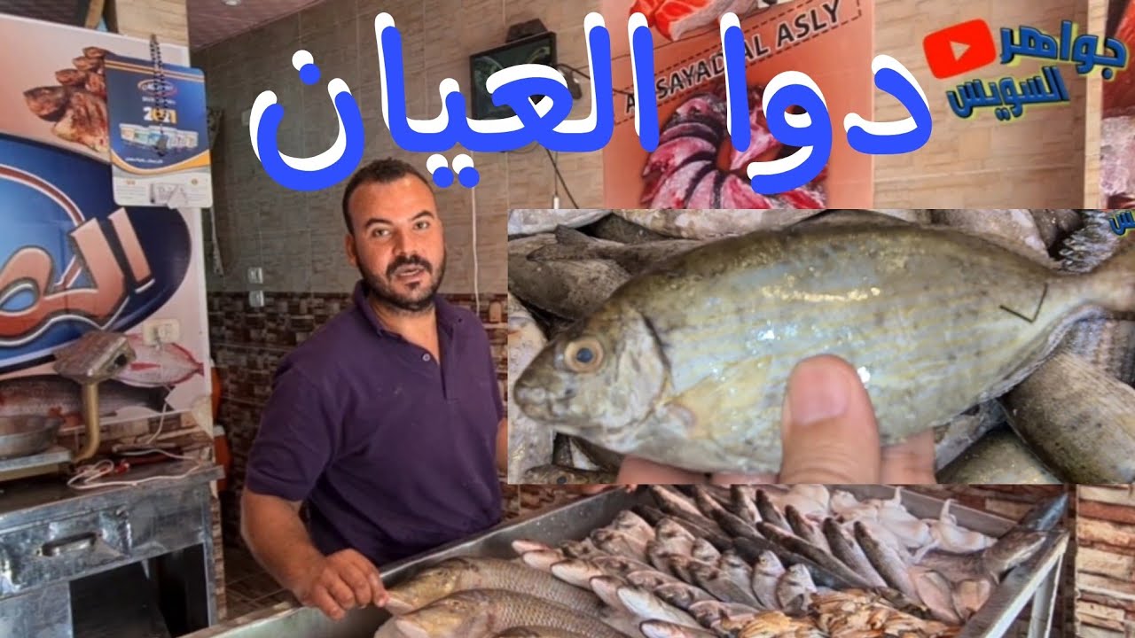 سر سمكة السيجان الموصوفة للعيان وأكلها فيه الشفاء. هتاكلها شوربة أو مشويه مستكاوي . بالهنا والشفاء .