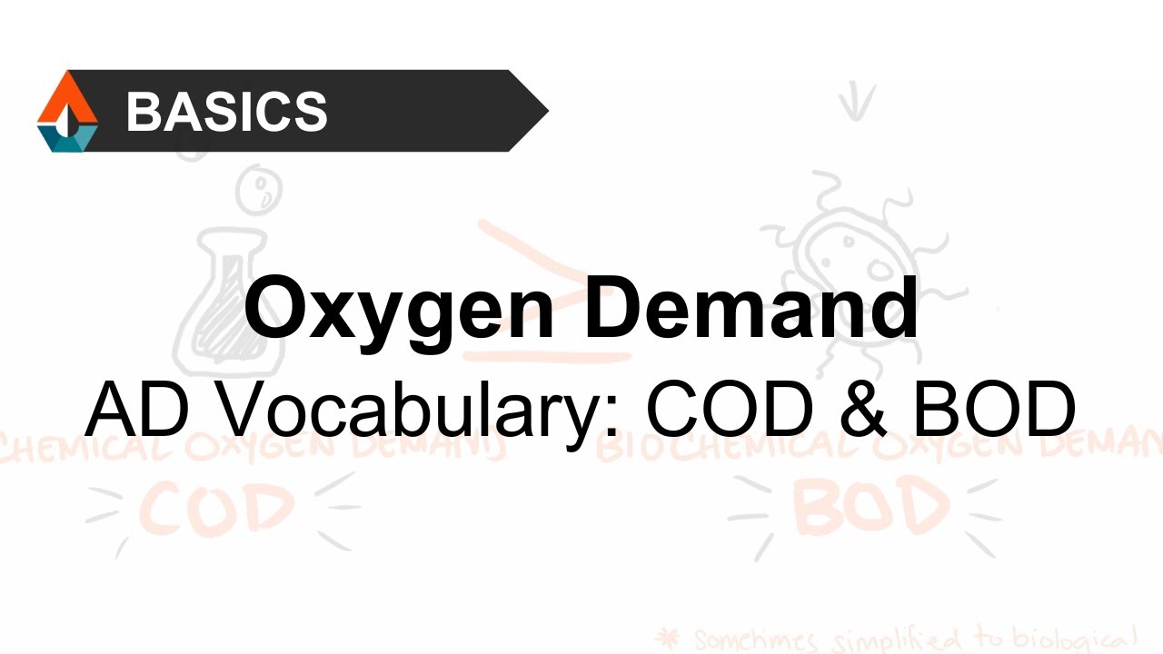 What are COD and BOD?