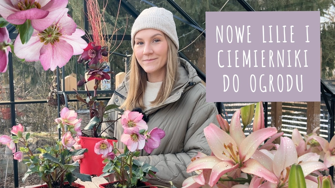 Nowe rośliny do ogrodu 🌿 Ciemierniki, lilie i wiosenne zakupy ogrodowe