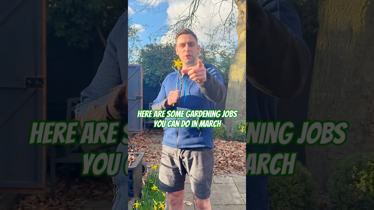 Gardening Jobs for March 💚 What to do in the garden in March 💚 March garden tasks 💚