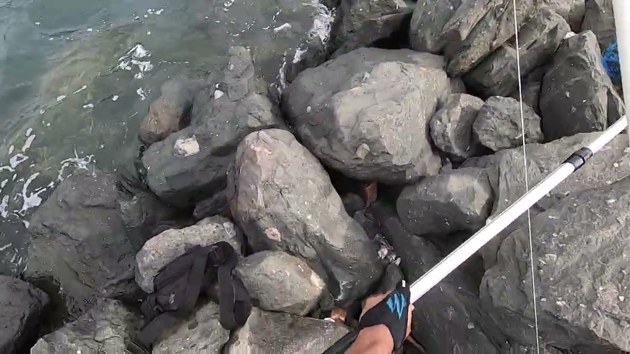 Shore Slow Jigging: Torpedo Scad caught on the drop