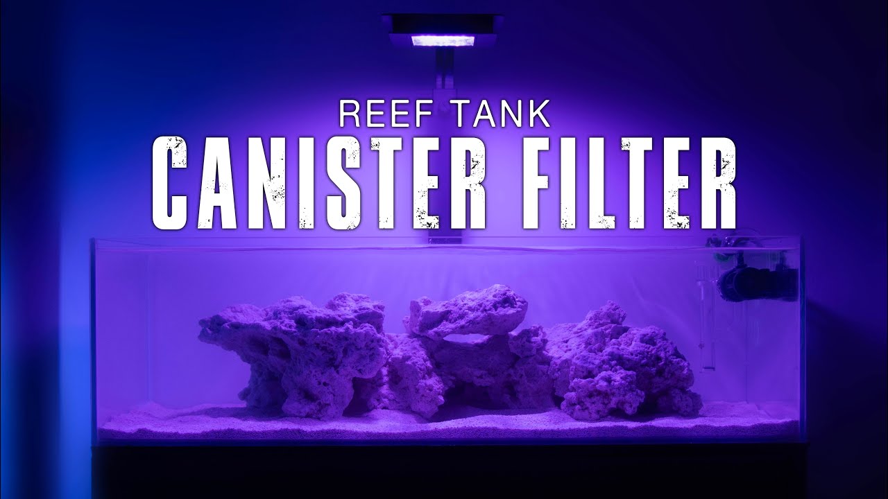 S1E1 - HOW TO SETUP A SUPER SIMPLE SALTWATER REEF AQUARIUM FOR BEGINNERS