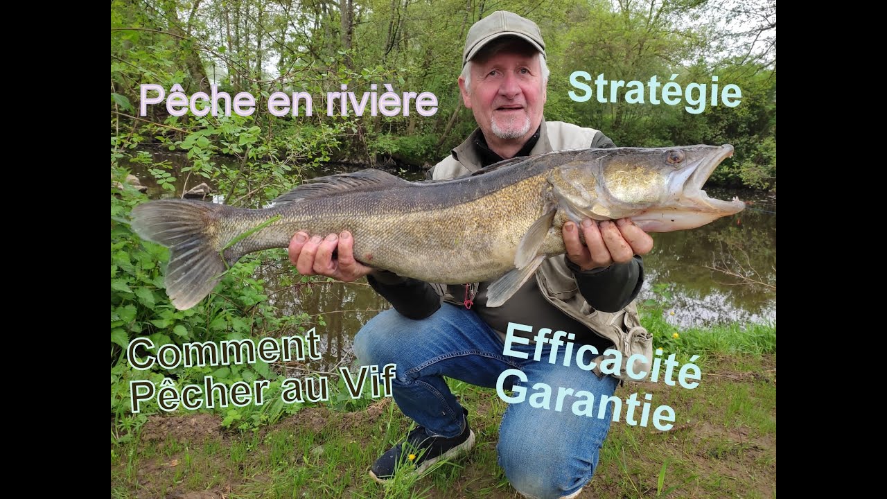 Comment P&ecirc;cher de fa&ccedil;on efficace au Vif