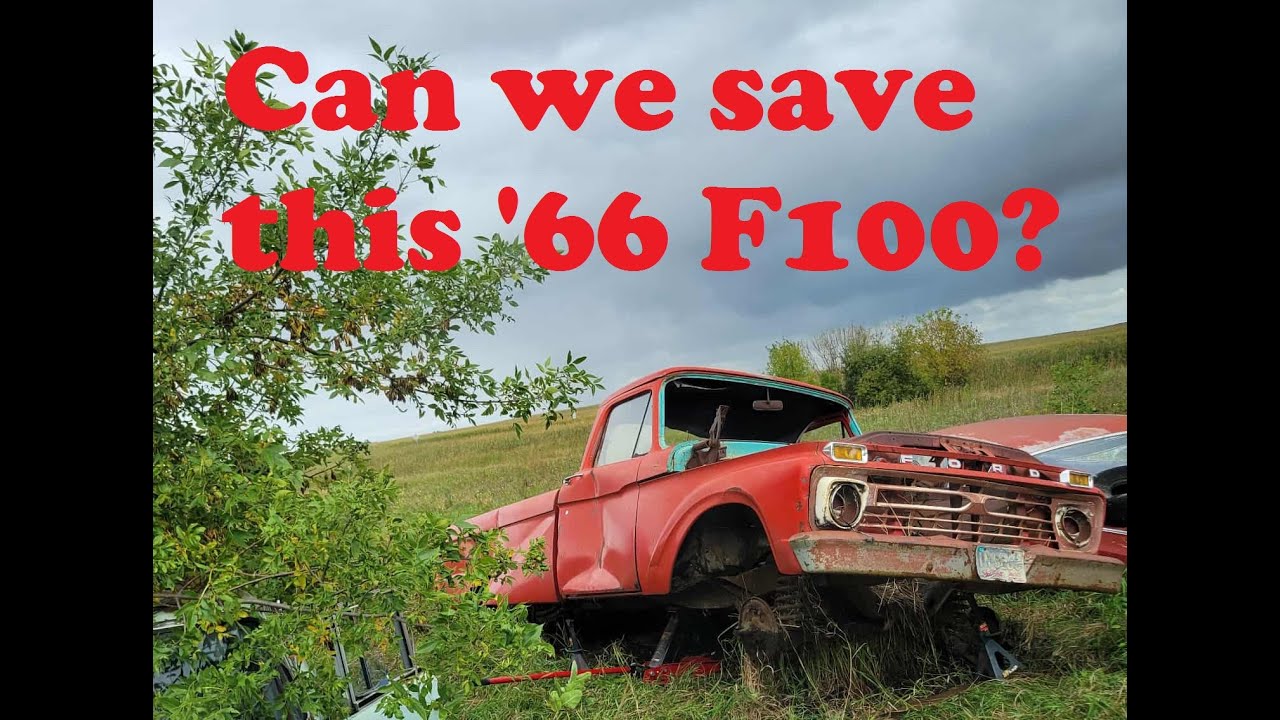 1966 F100 recovery. Can we dig it out of the mud and save this old Ford?