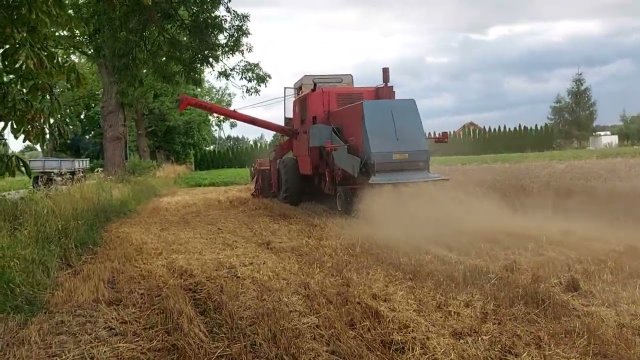 BIZON Z056 CZERWONY Z KABINĄ, Żniwa Małopolska 2025