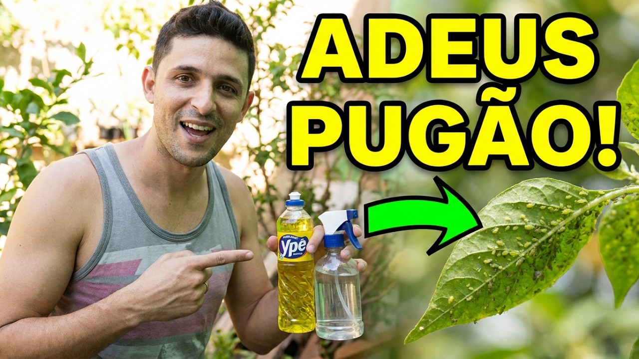 O Inseticida mais BARATO do mundo: Mata pulgão e cochonilha na hora!