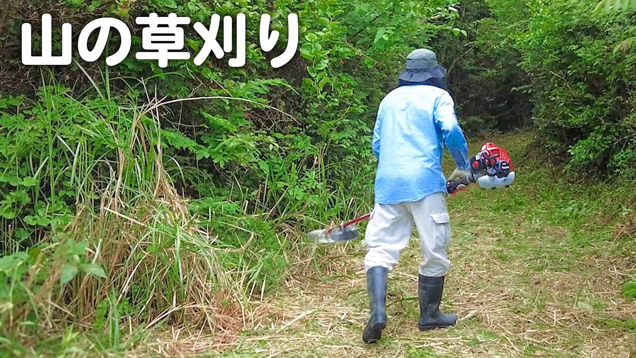 【田舎暮らし】放置しすぎた山の草刈りは大変でした！【vlog】【山口県】