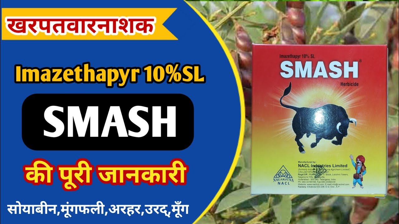 imazethapyr 10%sl uses | smash herbicide | imazethapyr 10%sl dose | imazethapyr 10%sl price