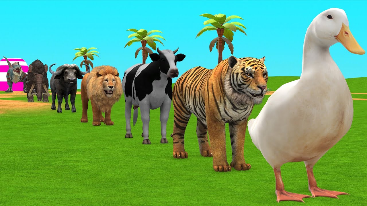 Long Slide Game with Cow Elephant Gorilla Hippopotamus Tiger 3d Animal Game Funny 3d Animals