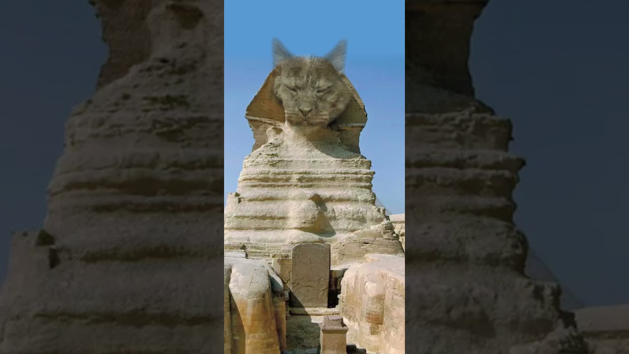 Funny Animals 🤣 Ancient Sfinga is Alive Cat 😹, Try Not To LAUGH!!! #Shorts