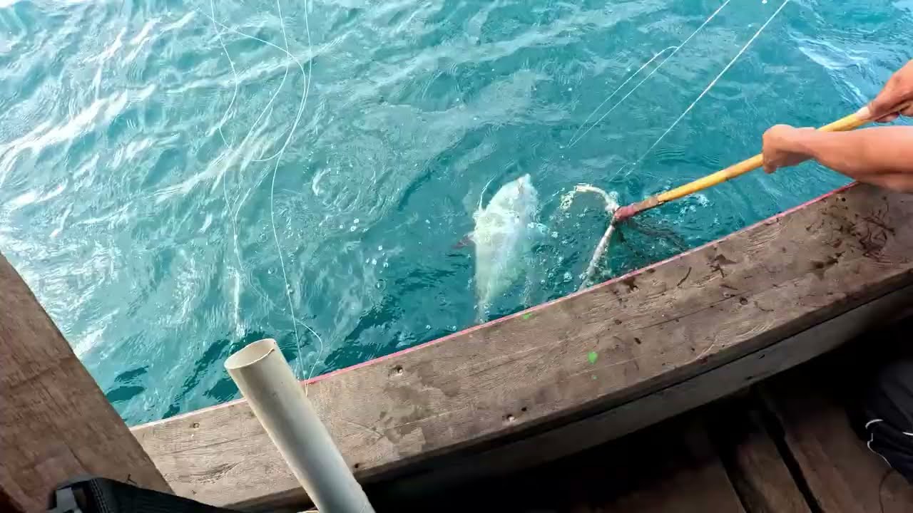 Mancing di pulau legundi lampung part II