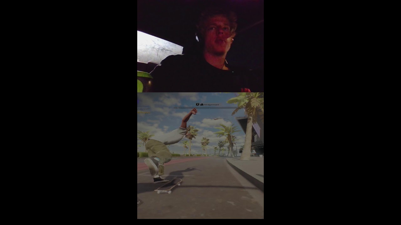 trying out skate 4