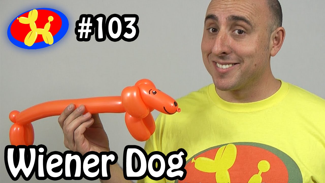 Wiener Dog  - Balloon Animal Lessons #103