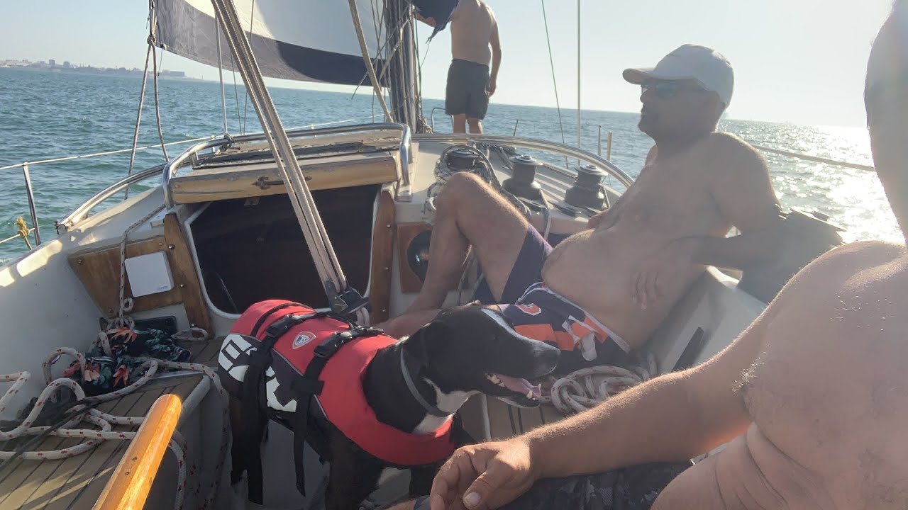 Marviviendo live #115 navegando en la Lutra con el windvane (piloto automático de viento)