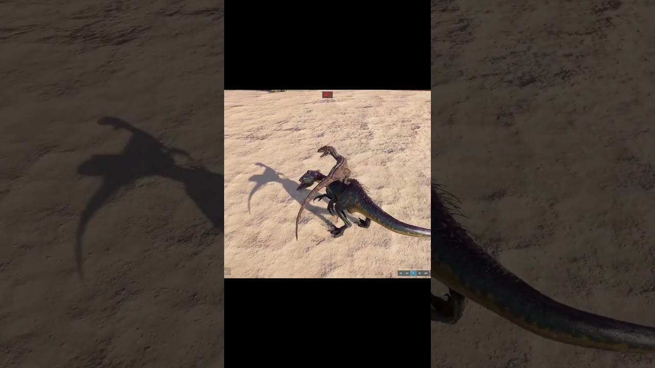 Indoraptor VS Velociraptor