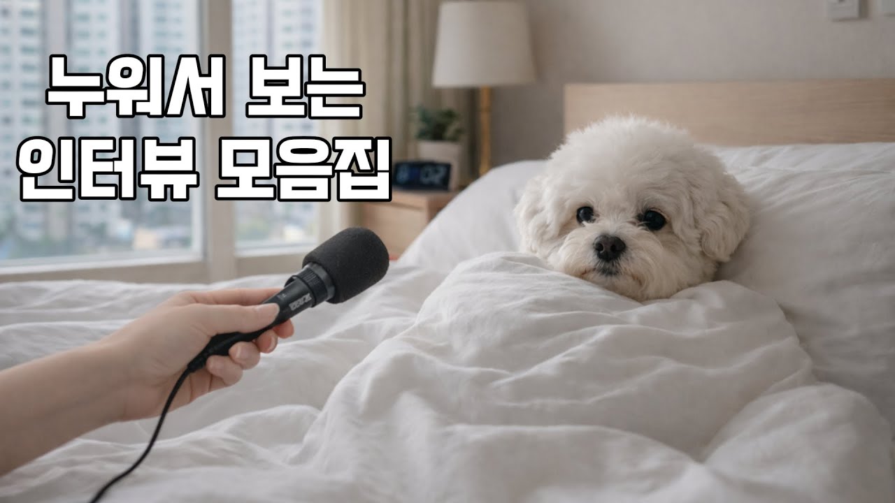 편안하게 보세요!