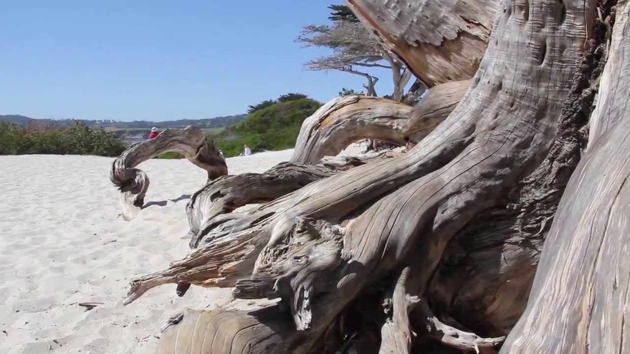 2015 Plein Air Convention Highlights