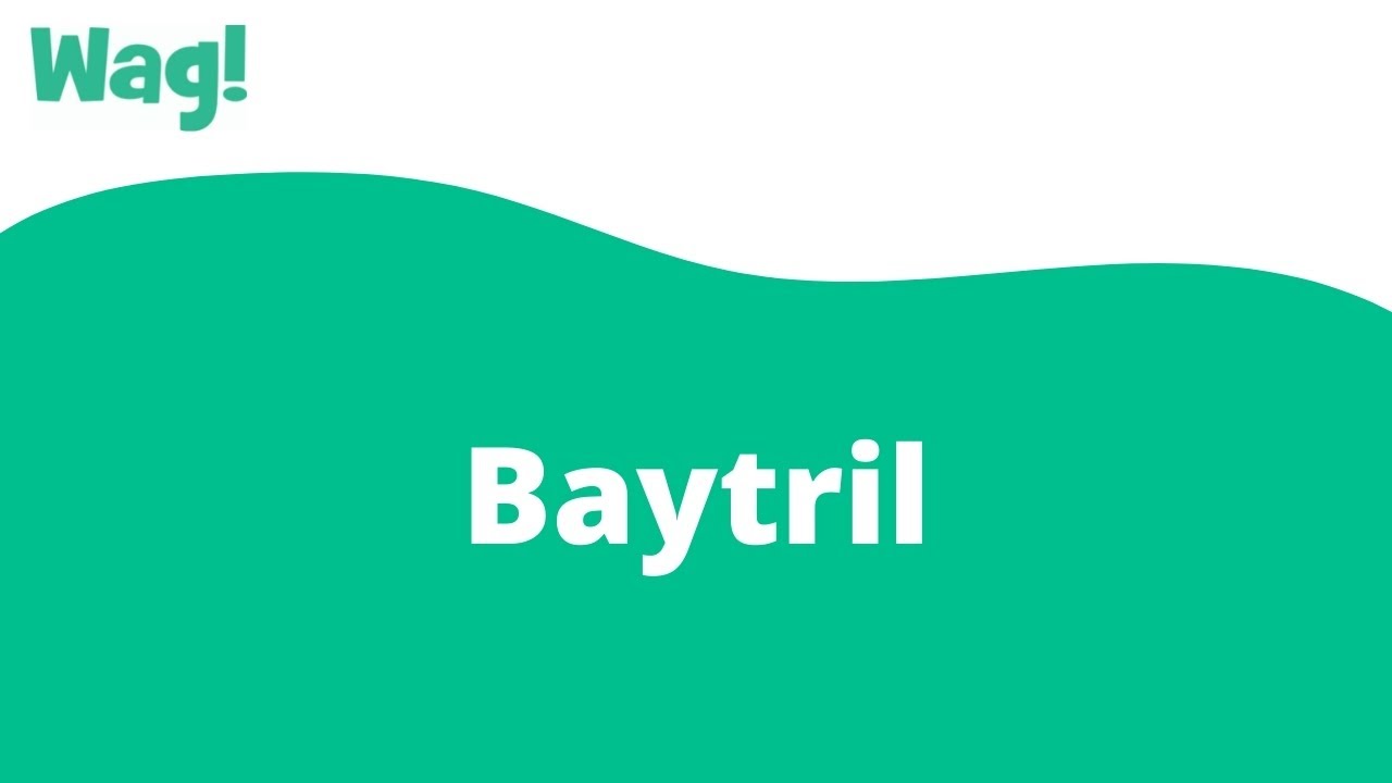 Baytril | Wag!