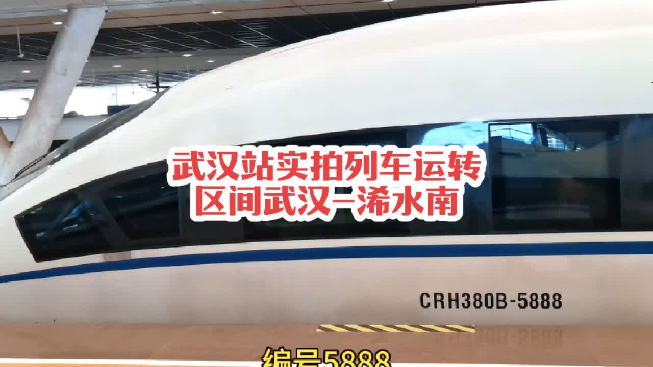 #火车迷爱好者 武汉站实拍列车运转记录，区间武汉-浠水南#铁路摄影 #记录行程 #高铁🚅 #随拍