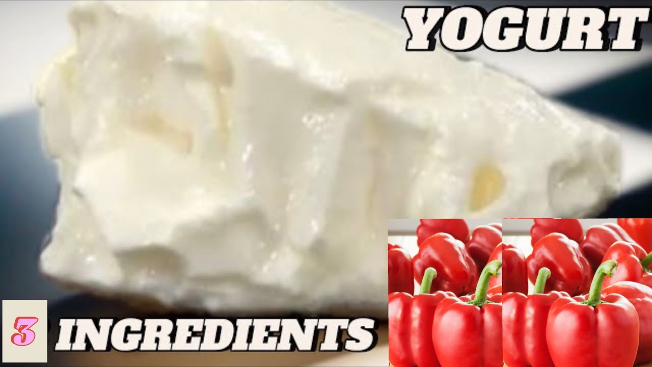 HOW TO MAKE YOGHURT WITH RED BELL PEPPER STARTER | Greek yoghurt recipe