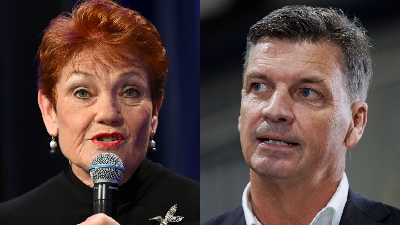 &lsquo;We have to work together&rsquo;: Calls for Coalition and One Nation to &lsquo;not split&rsquo;