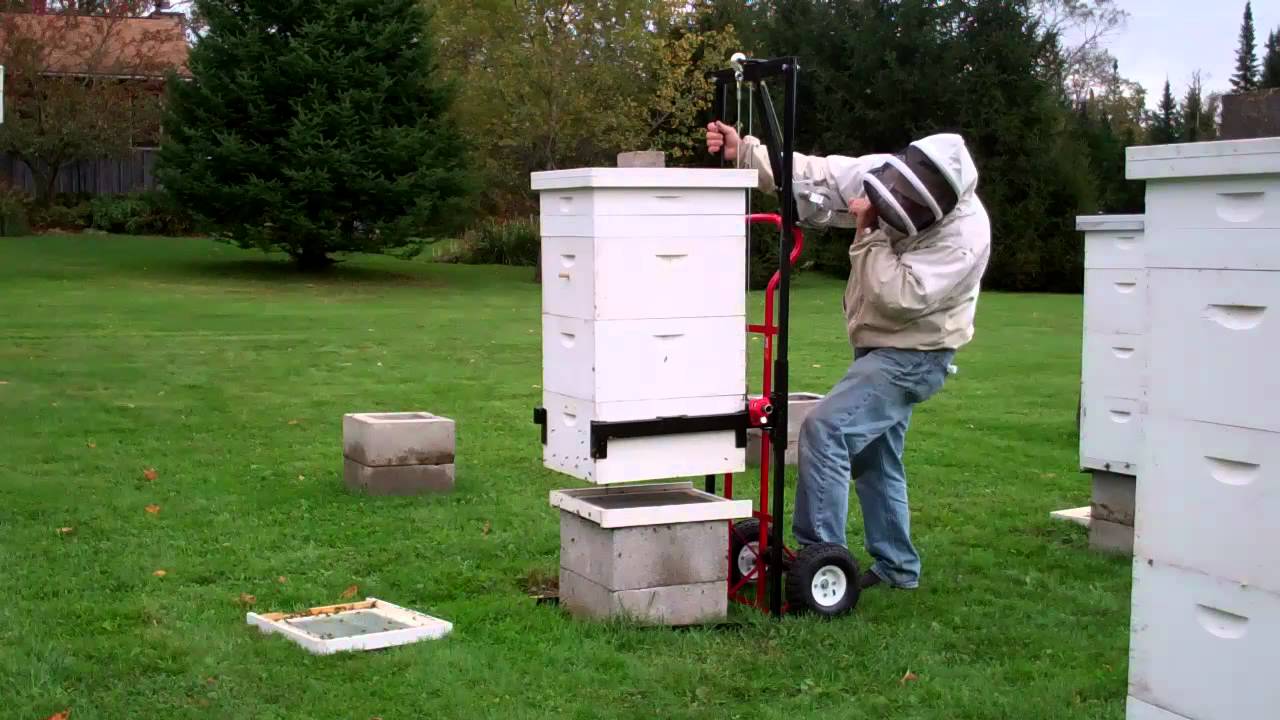 Hive Lift Demo