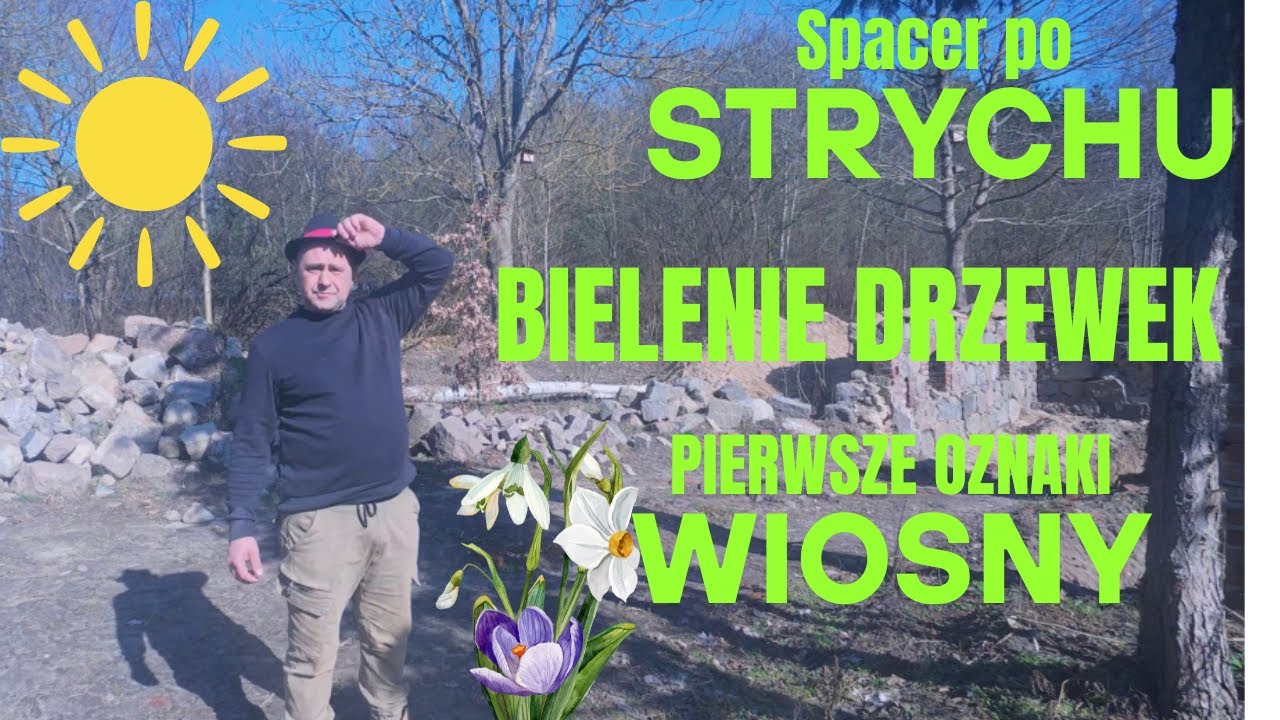 Spacer po strychu, bielenie drzewek - mamy wiosnę! 😎