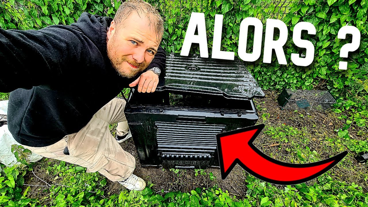 Comment se débarrasser des rats dans un composteur ? (2/2)