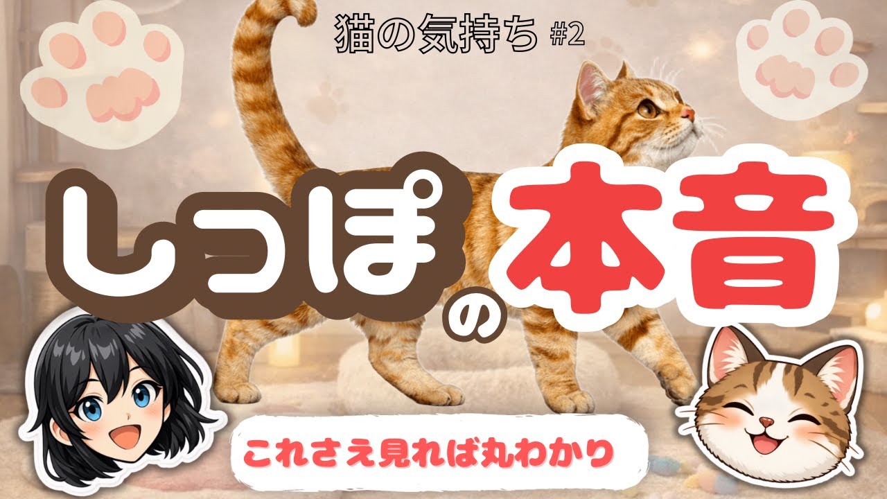 【猫の気持ち #2】しっぽでわかる本音まとめ