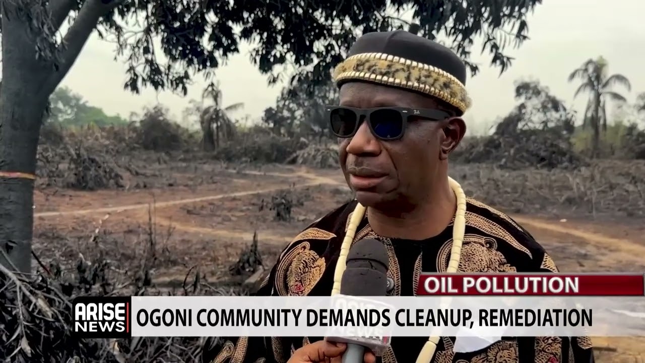 OIL POLLUTION: OGONI COMMUNITY DEMANDS CLEANUP, REMEDIATION