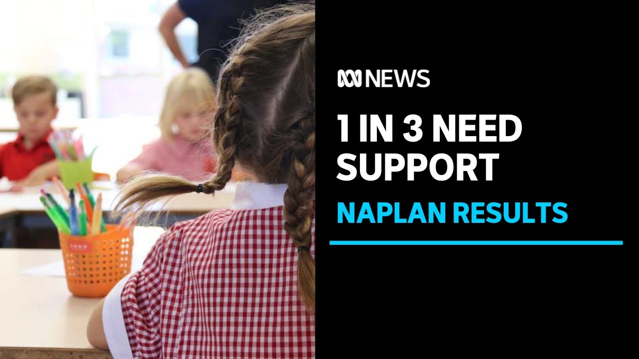 Education Minister says NAPLAN report shows serious education reform is needed | ABC News