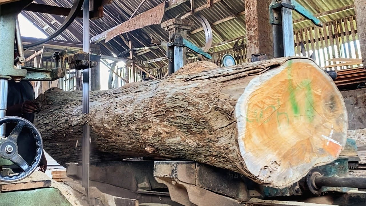 Teak wood is processed at a wooden architectural factory