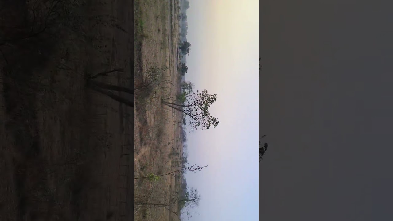 10 ekar 20 guntha plot Main have rod 4 km  tar rod tuch plot 26 lakh pr ekar plot contact 9226224222