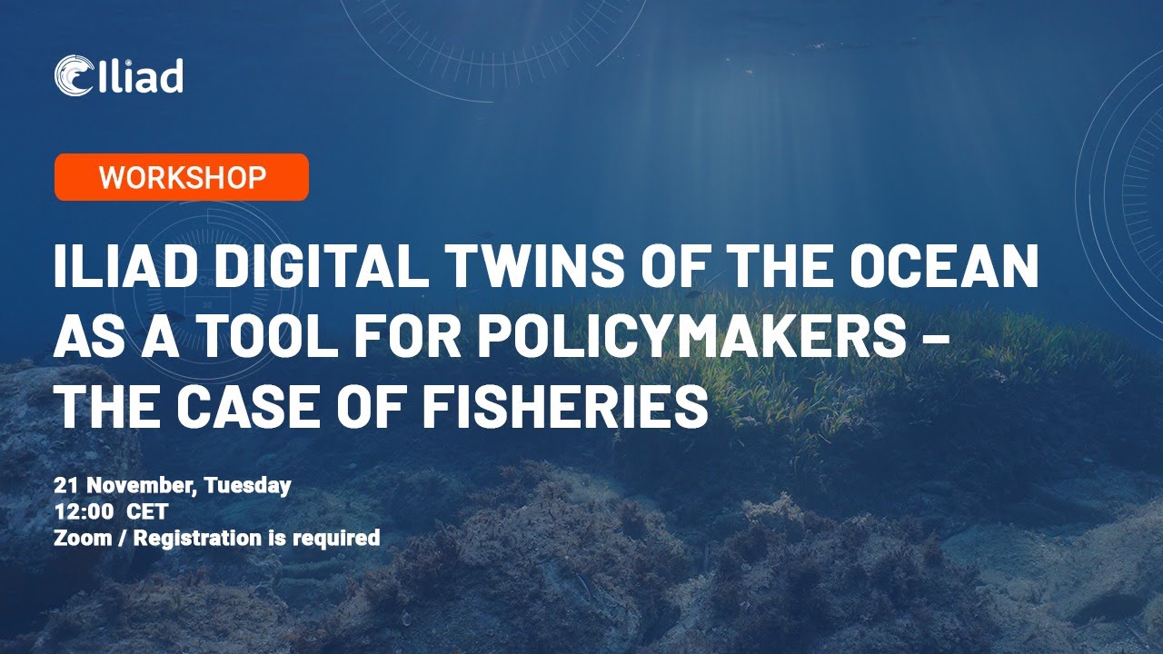Iliad Digital Twins Of The Ocean as a Tool for Policymakers – The Case Of Fisheries
