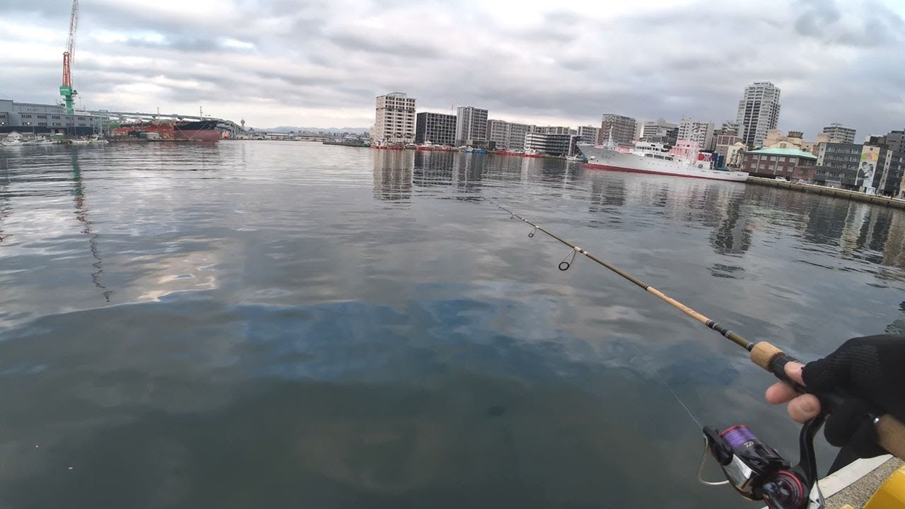 博多港で魚釣り！