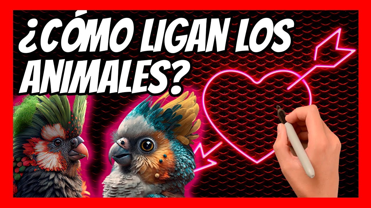 😻Los RITUALES de APAREAMIENTO m&aacute;s CURIOSOS del mundo animal✨