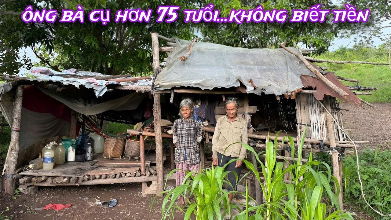 Ông Bà cụ 75 tuổi ở CĂN CHÒI, TỒI TÀN, RÁCH NÁT, không biết số tiền 100 nghìn../619
