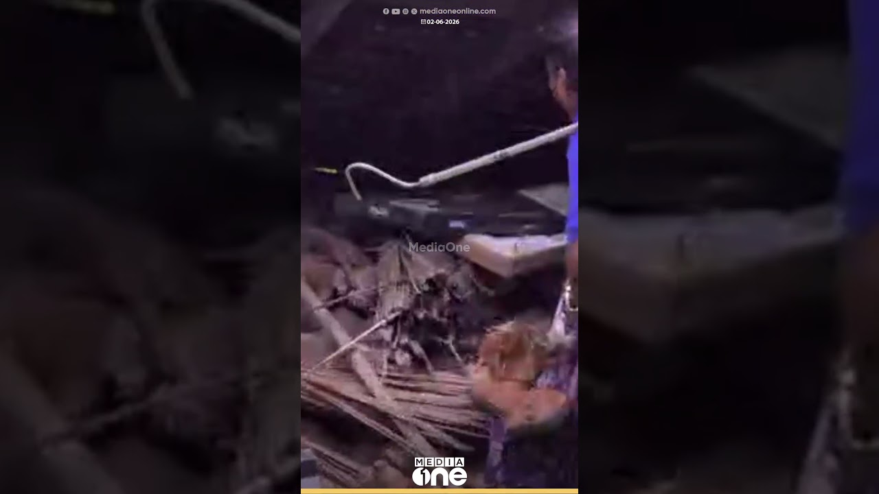 A python was caught near a house in Pulikkal Periyambalam, Malappuram....