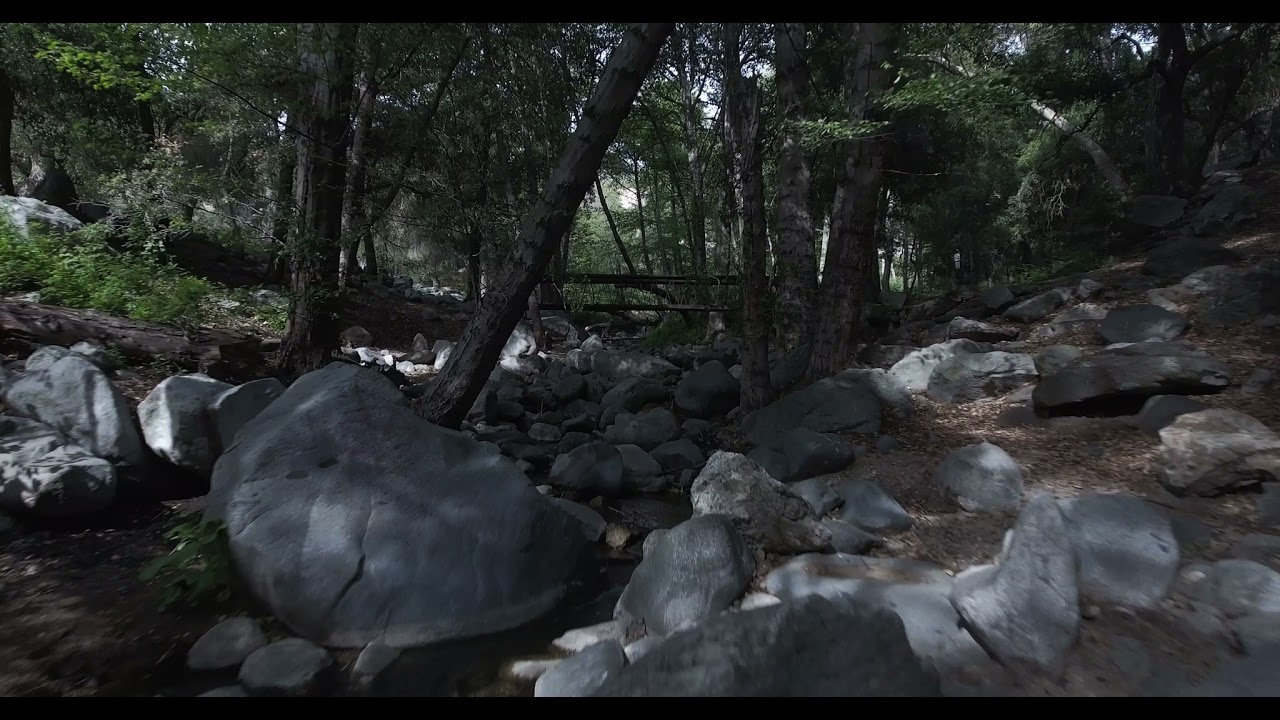 Royalty Free Aerial, scenic forest environment Drone Stock Video Footage