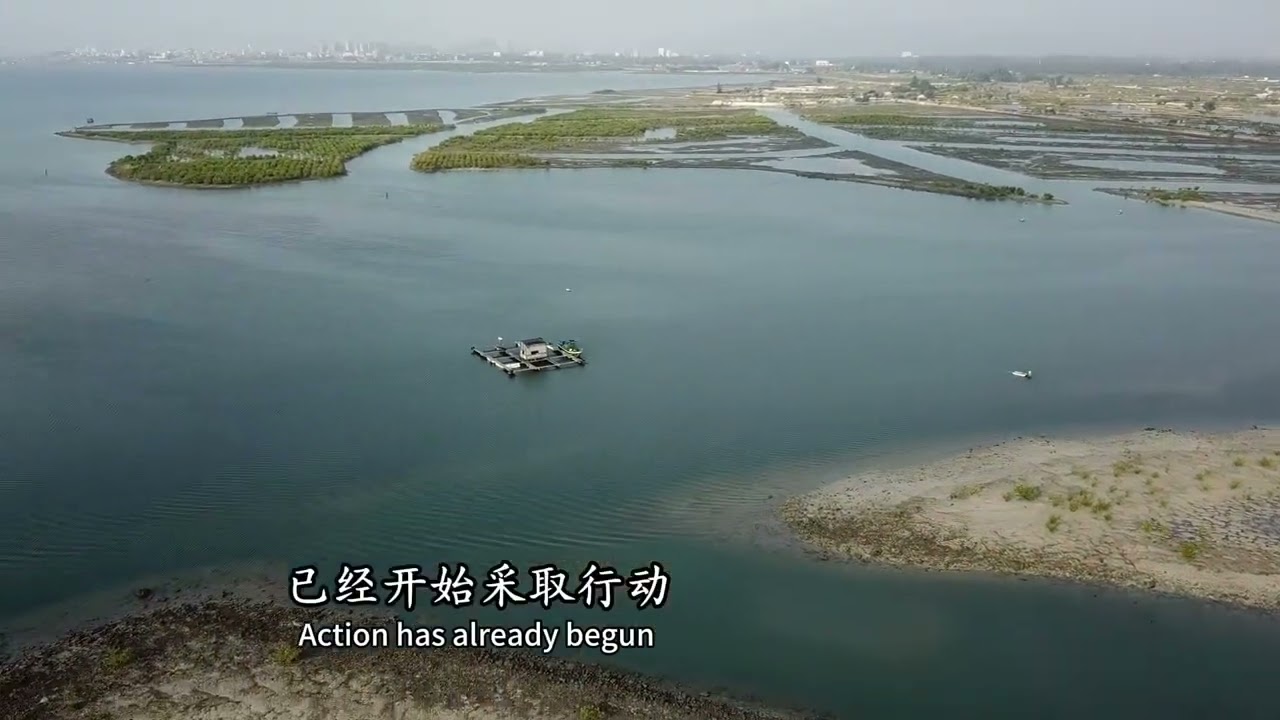 《自然探索》过度种植红树林可能引发生态灾难