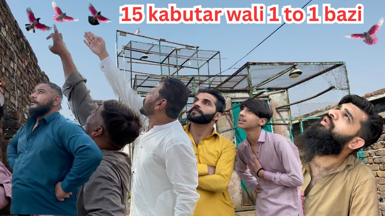 15 kabootaron wali 1 to 1 bazi 😱 | Dar pigeons club | 