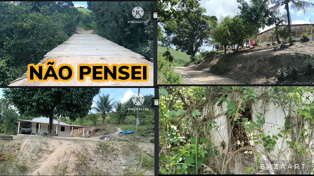 ENGENHO NÃO PENSEI, PARTE I. AMARAJI-PE.