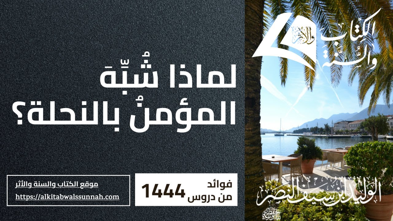 663.  لماذا شُبِّهَ المؤمنُ بالنحلة