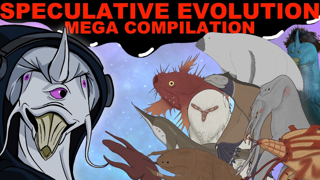 SPECULATIVE EVOLUTION AZFK MEGA COMPILATION