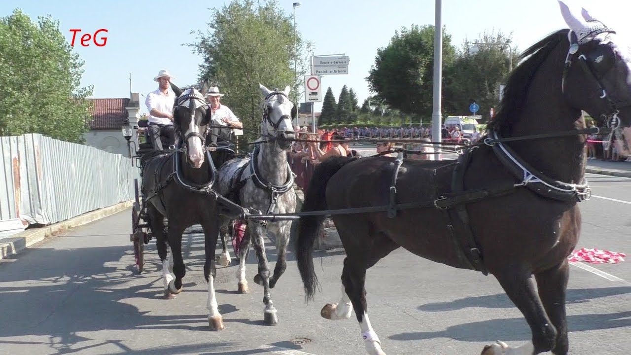 La sfilata delle carrozze con cavalli - San Bernardo 2019