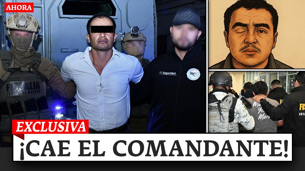 GOLPE A LA FAMILIA MICHOACANA: CAE 