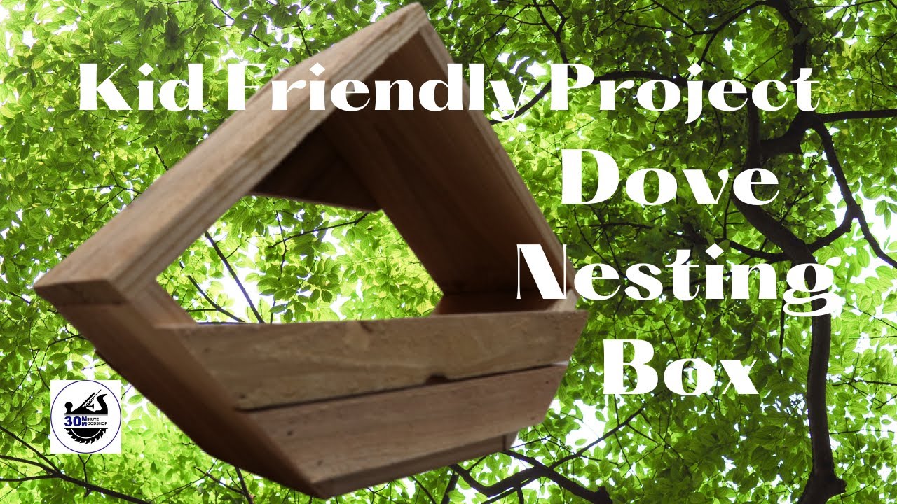 Build a Kid-Friendly Dove Nest Box in Minutes